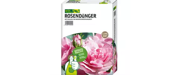 ROSEN FüR DIE LIEBSTE