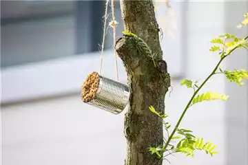 WIE GEHT... INSEKTENHOTEL?