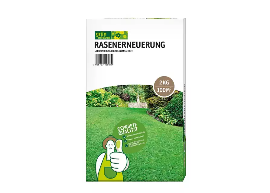 Rasenerneuerung