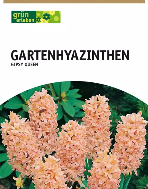 Gartenhyazinthen