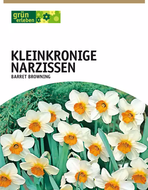 Kleinkronige Narzissen