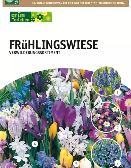 Frühlingswiese