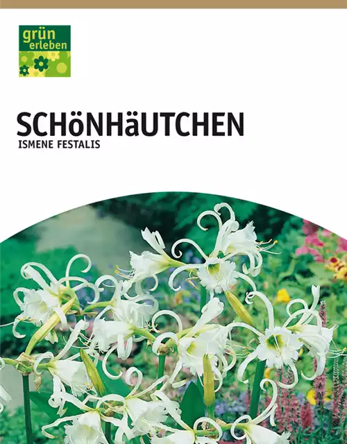 Schönhäutchen