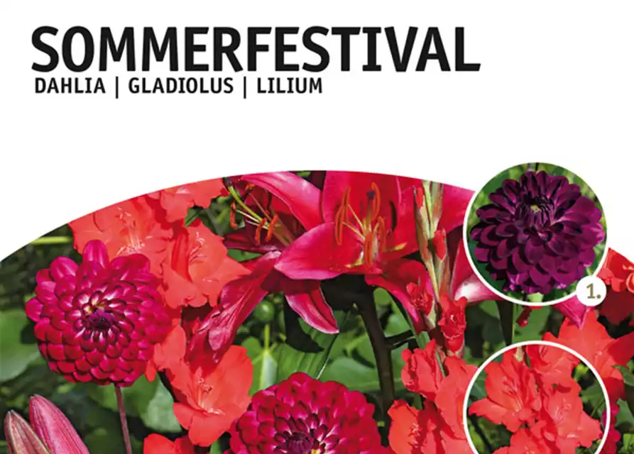 Sommerfestival