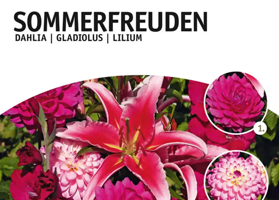 Sommerfreuden