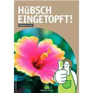 HüBSCH EINGETOPFT!