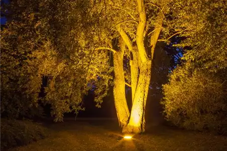 WEIHNACHTS-LICHTER-GÄRTEN