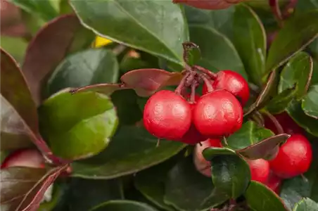 DAS GRAB IM HERBST!